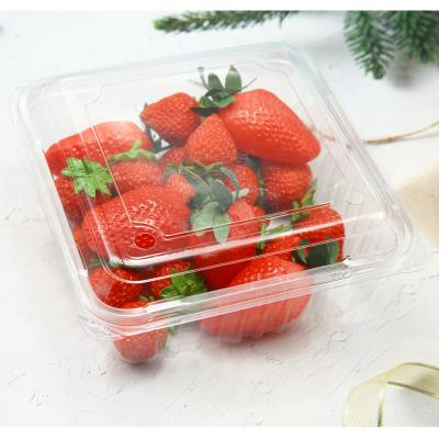 China Clear plastic blister strawberry fruit clamshell packaging for sale