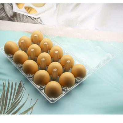 China disposable plastic clear 15holes chicken egg tray for sale