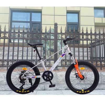 China Magnesium Alloy Student Bike Child Bike 20 Speed ​​SHIMANO Alloy 7 or 22