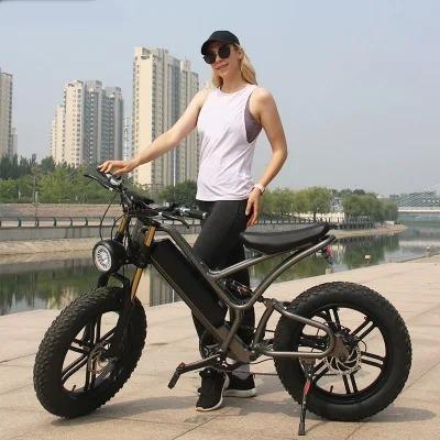 China Steel 7 speed electric mountain bike/aluminum frame 500w 48V 20ah electric bicycle,26