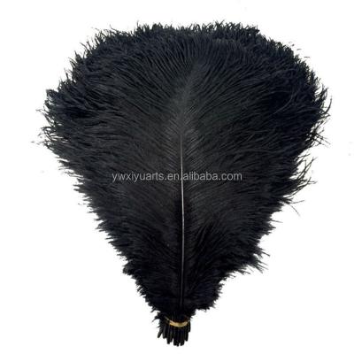 China Ostrich Feathers High Quality 6-32 inch Black Ostrich Feathers Black for Sale Decoration Centerpieces for sale