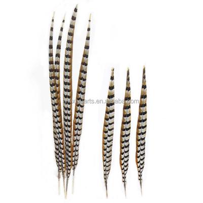 China Carnival Wholesale Natural 10-160 cm Pheasant Feathers Long Reeves Pheasant Tail Feathers for sale