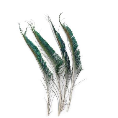 China Carnival Wholesale Natural Peacock Feather 25-40 cm Peacock Sword Feather for Hat and Craft for sale