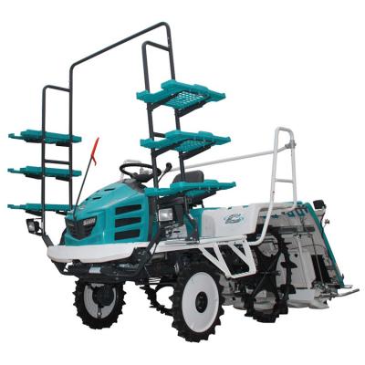 China Rice Transplanter 6 Rows Unhusked Rice Planter Manual Upright Transplanter With Fertilize Apparatus for sale