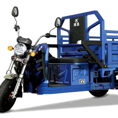 China 800W1000W Electric Cargo Tricycle Cargo Delivery For Three Wheeler for sale