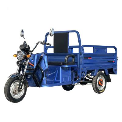 China Factory supply three-wheeler 800W 1000W cargo electric tricycle spare parts direct motor battery for sale