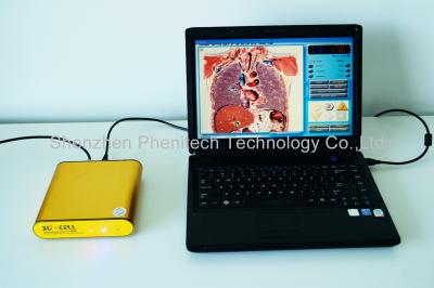 China Efficacy 8 Languages 3D NLS Health Analyzer Therapy For Human Physical Condition for sale