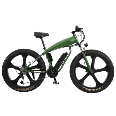 China Supplier Customized Aluminum Alloy Electric Bike With Hidden Battery Snow Bicycle For Adults for sale