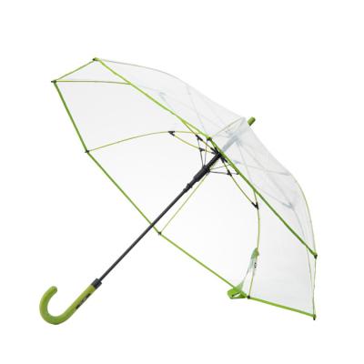 China Adversting 23.5 inch fashion hi-key custom design green ribs and edge poe material clear transparent umbrella for sale