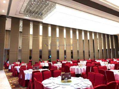 China Conference Rooms Folding Partition Wall with Double Seal Rubber Top And Bottom Seal and Class A Fire Rating for sale