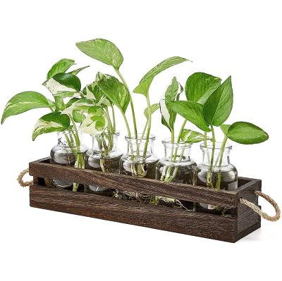 China Wholesale new type interesting price minimalist decorative wooden crates wooden crates wooden crates for planting for sale