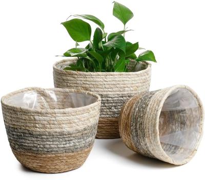 China Minimalist the three-color woven belly basket of the vegetable plankton quality vegetable plankton fine rattan basket for sale