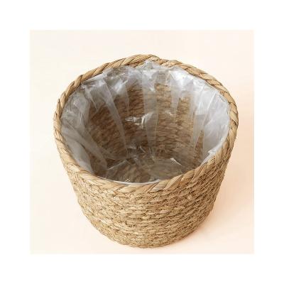 China Minimalist Made in China Top Quality Vegetable Plankton Basket Plant Plankton Basket Factory Wholesale for sale