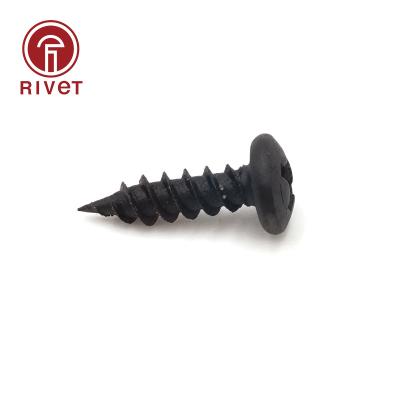 China CSK Cross Recessed Head DIN 7981 Pan Self Tapping Screw And Self Drilling Nut Customize Self Tapping Screw m6 for sale