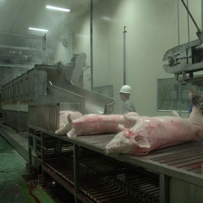 China Pig Pig Slaughterhouse Using For Cut Pig Hair In Butcher Equipment for sale