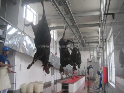 China Livestock Moden Livestock Slaughterhouse Design and Manufacture for sale