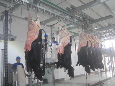 China Cattle Complete Cattle Slaughterhouse Equipments for sale