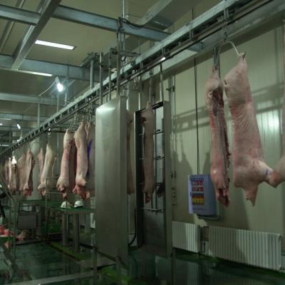 China Automatic Pork Pig Carcass Scorching Furnace Slaughtering Machine Pork for sale