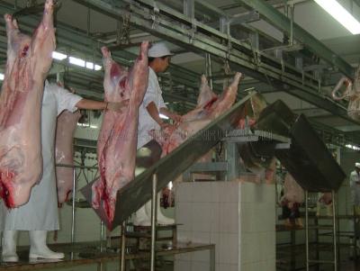 China Bridge type pork carcass half cutting pig saw for sale