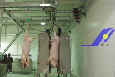 China Hog pig equipment for slaughterhouse for sale