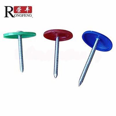 China Hot Electro Galvanized Plastic Cap Roofing Nails 7/8