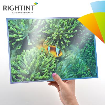 China Wholesale Inkjet Self Adhesive Glossy Silver PET Film Waterproof for sale