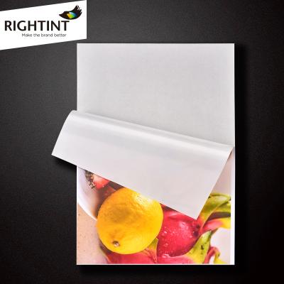 China Hot Sale Waterproof Self Adhesive Inkjet Matte PP Film Sticker In Sheet Or Roll Size for sale