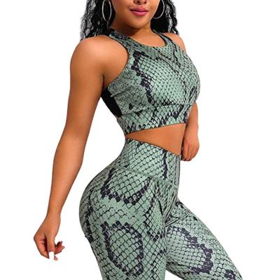 China Breathable Snake Print Sport Clothes Ladies Print Gym Fitness Active Gym Sets High Waisted Leggings 2 Piece Yoga Gym Sets for sale