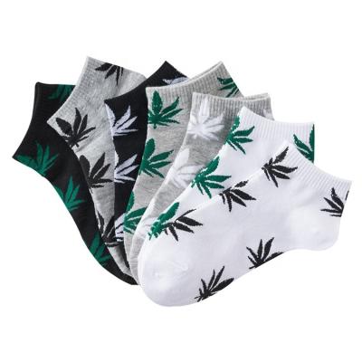 China KANGYI Viable Wholesale Mens Maple Leaf Ankle Socks Cotton Hiphop Style Weed Socks for sale