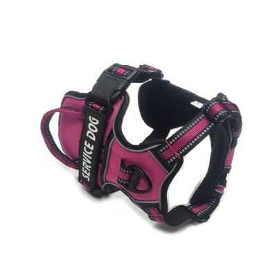 China Lights New Arrival Breathable Mesh Nylon Designer Pet Reflective Dog Harness Set for sale