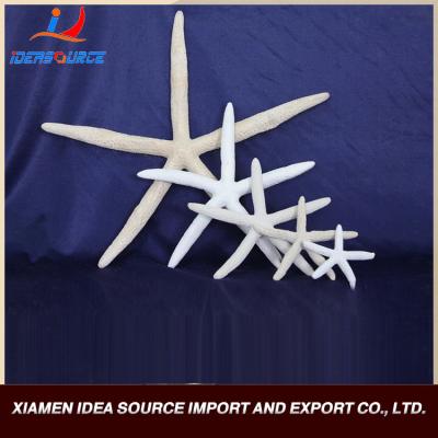 China Other Resin Starfish Ornament for sale