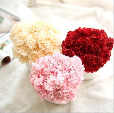 China Multi Color 6 Heads Carnation Flower Heads Real Touch Nature Indoor Bonsai Flower Caryophyllus Multi Artificial Silk Bouquet for sale