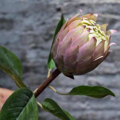 China china real touch nature real touch south africa king protea tropical artificial decorative flower factory supply for hotel for sale