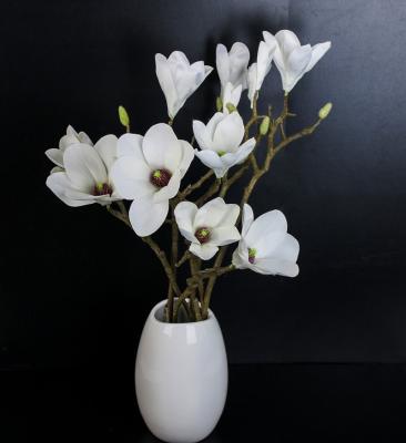 China Wholesale Artificial Magnolia Wedding Real Touch Real Touch Decoration Latex High Quality Nature Touch for sale