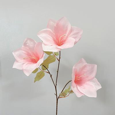 China Real Touch Real Nature Decoration Artificial Silk Flowers Hot Selling Home Magnolia For Flower Arranging for sale