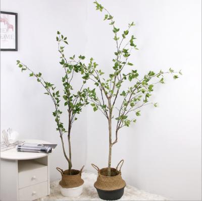 China Wholesale real touch nature artificial plastic tree for indoor or outdoor decoration for sale