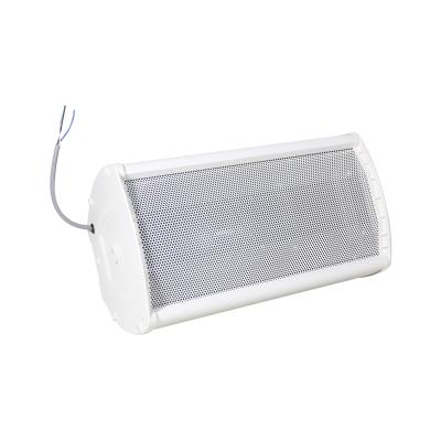 China No Reliable Quality Wall PA System Column Speaker For School Hotel Mall for sale