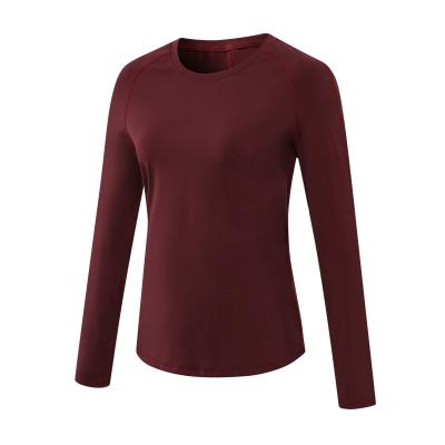 China Anti-Static High Quality Nylon Fleece Gym Wear Hot Women Long Sleeve Yoga Tops Workout Sport T-Shirt for sale