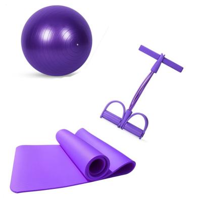 China Inexpensive And Fine Durable Yoga Exercise Set With NBR Yoga Mat Pedal Pull Rope And PVC Yoga Ball for sale