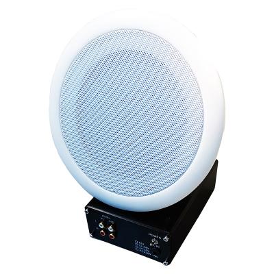 China No Ultrasonic Directional Speaker with Focused WS-R/V1.0, Amplifier and Speaker Audio Slot, Voice Line In for sale