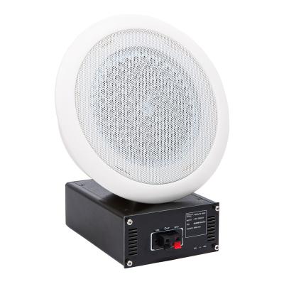 China None Audio Equipment Ultrasonic Directional Speaker Museum Ceiling Mount Ultrasound Speaker Voice Line In for sale