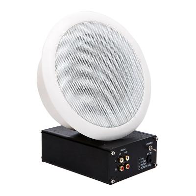 China No amplifier and speaker slot, voice line in, ultrasonic-directional-ceiling mounted speaker for sale