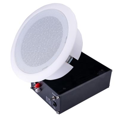 China No Ceiling Mount Speaker Museum Ultrasonic Audio Amplifier Separated Ultrasound Speaker for sale