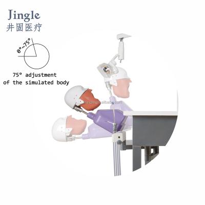 China manikin dental phantom head dental simulator for practice dental phantom head training dental simulator JG-A5+ for sale