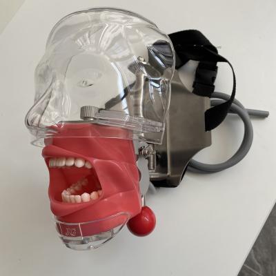 China Fix on Dental Chair Head Phantom Model for Practice School Oral Phantom Head Simulator Dental Manikin for sale