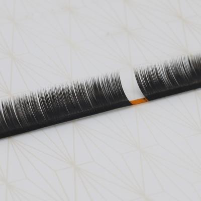 China Hot Selling Different Full Volume Eyelash Extensions for sale