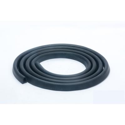 China High Quality 2021 D Shape Extrusion Rubber Strip Rubber Trim 3M Length Size 20mm x Width 20mm x From Taiwan for sale