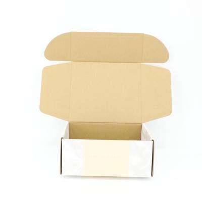 China Recyclable Stable Quality Paper Box Dongguan Crown Win With High Quality for sale