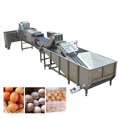 China High efficiency egg washing machine/egg white and yolk separator/egg separator for sale