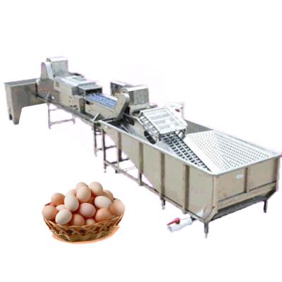 China High Efficiency Stainless Steel 5000pcs/Hour Automatic Duck Egg Cleaning Machine Egg Washing Machine for sale